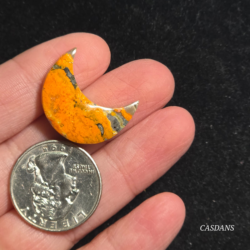 Bumblebee Jasper Moon