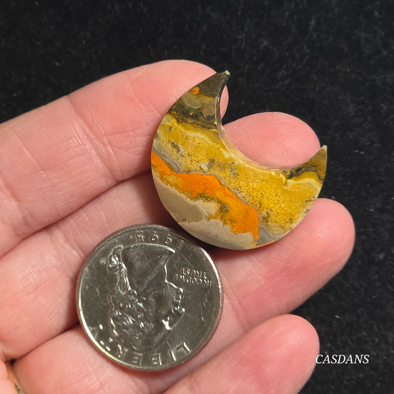 Bumblebee Jasper Moon