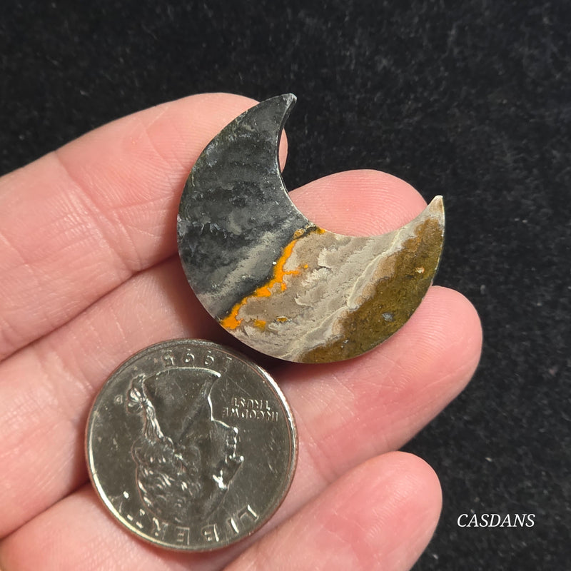 Bumblebee Jasper Moon