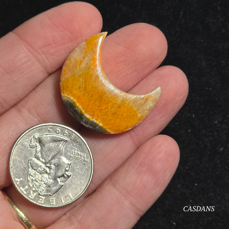 Bumblebee Jasper Moon