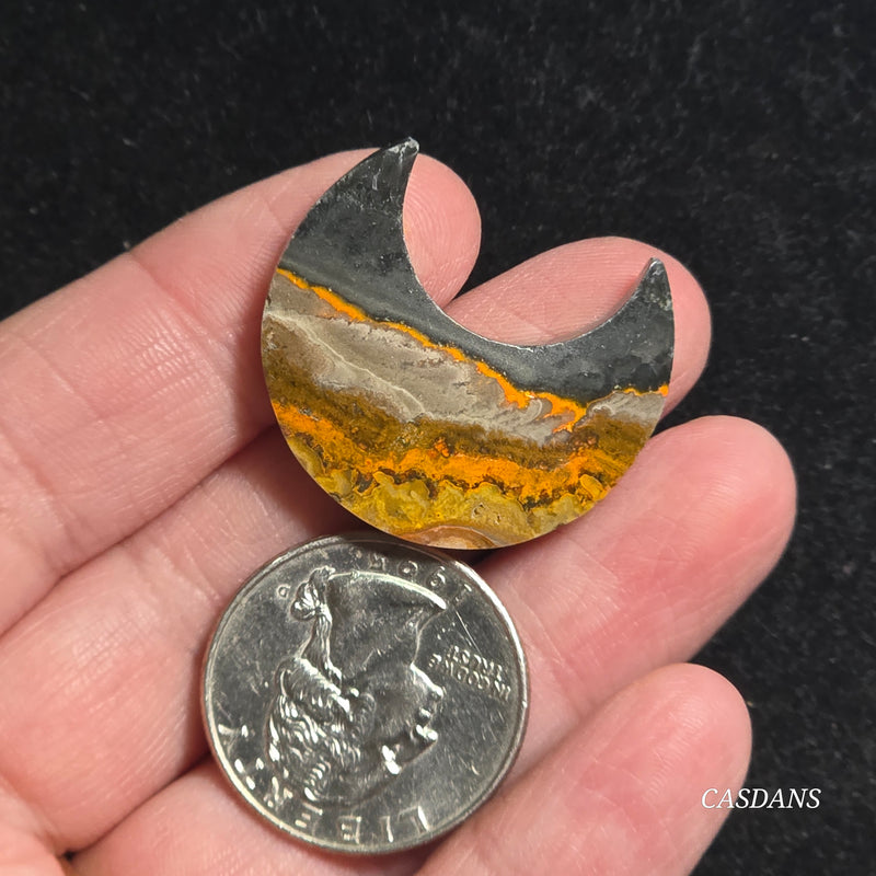 Bumblebee Jasper Moon