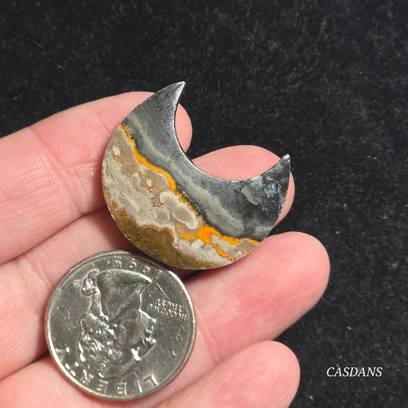 Bumblebee Jasper Moon