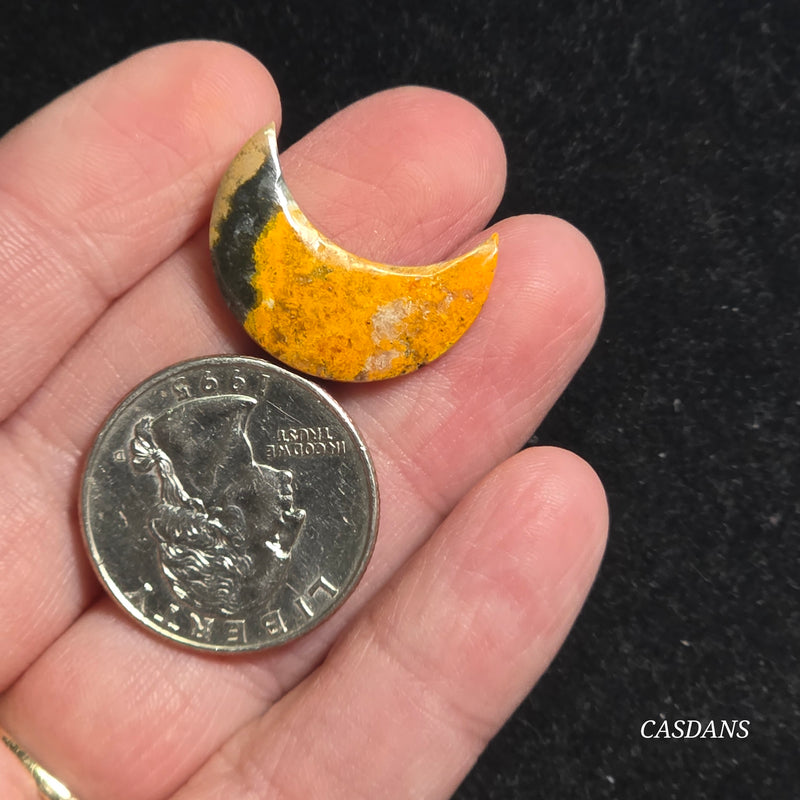 Bumblebee Jasper Moon
