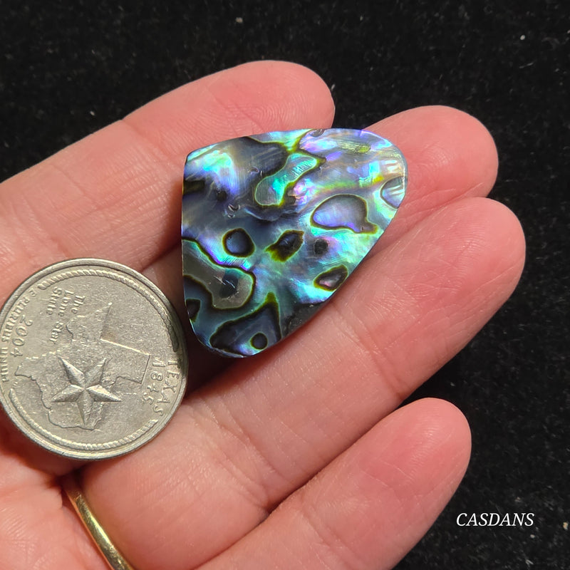 Abalone Shell Cabochon