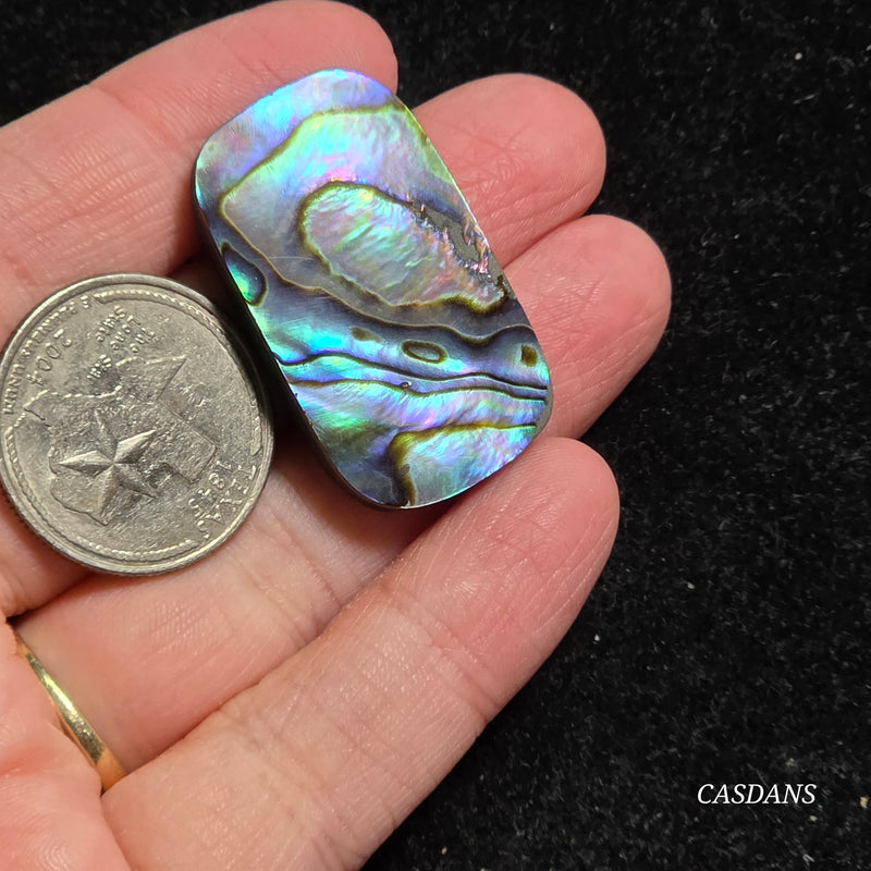Abalone Shell Cabochon