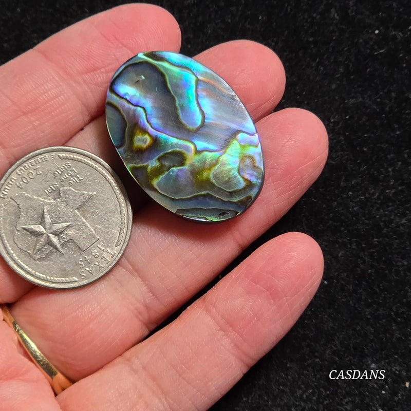 Abalone Shell Cabochon