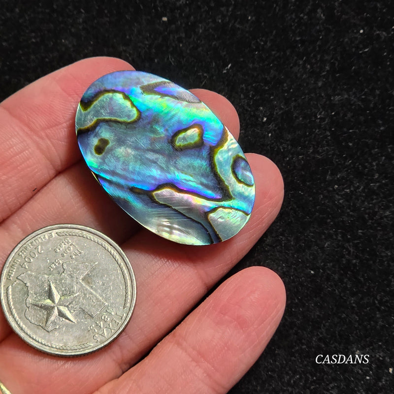 Abalone Shell Cabochon