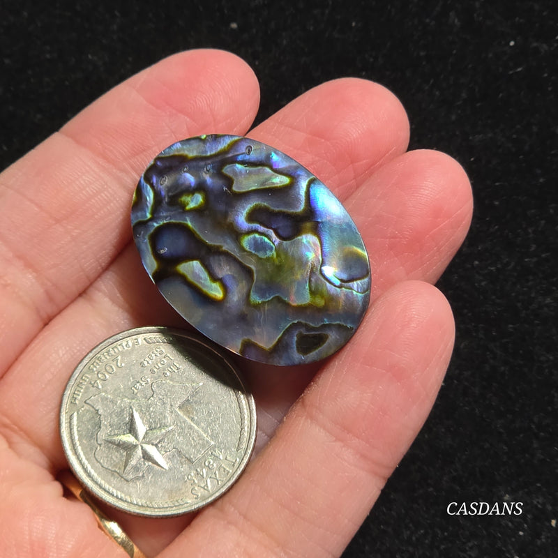Abalone Shell Cabochon