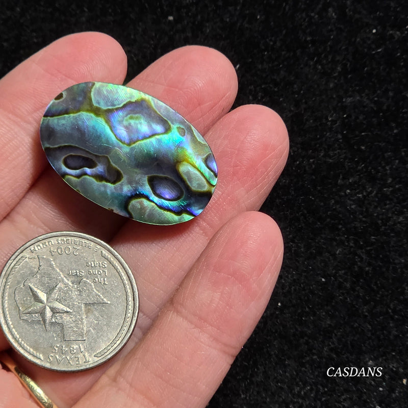 Abalone Shell Cabochon