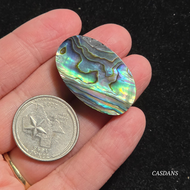 Abalone Shell Cabochon