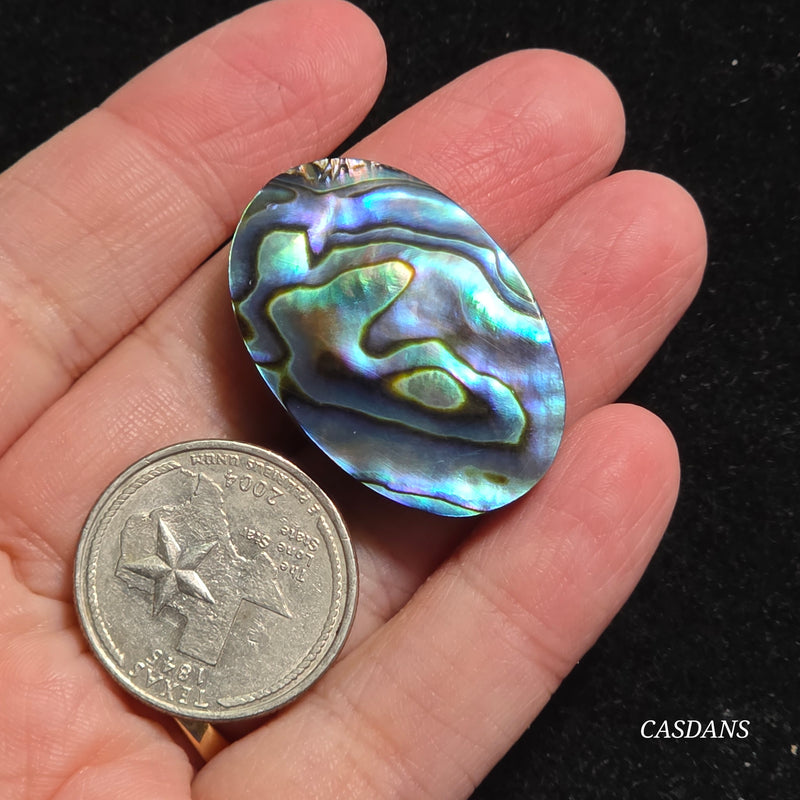 Abalone Shell Cabochon