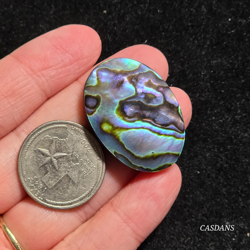 Abalone Shell Cabochon