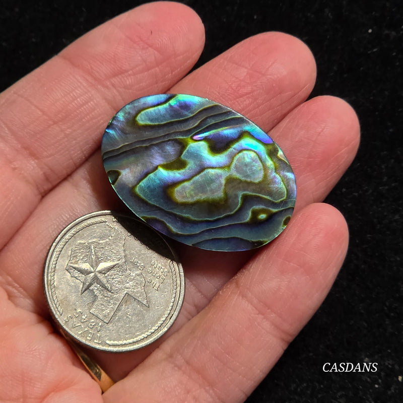 Abalone Shell Cabochon