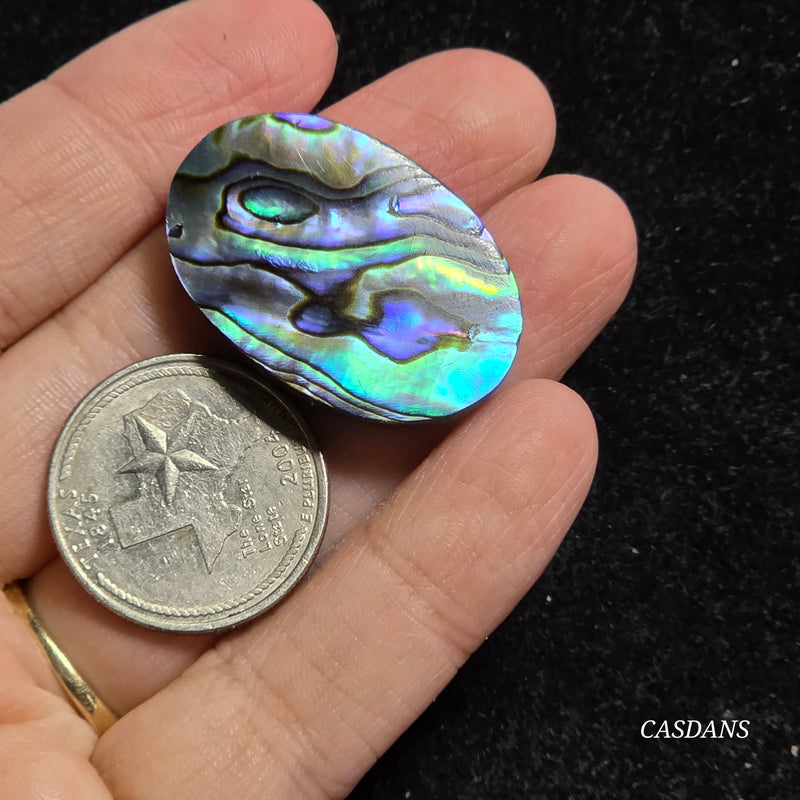 Abalone Shell Cabochon