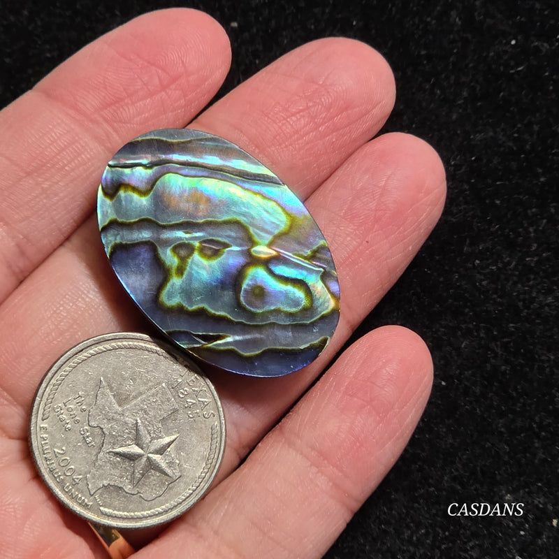 Abalone Shell Cabochon