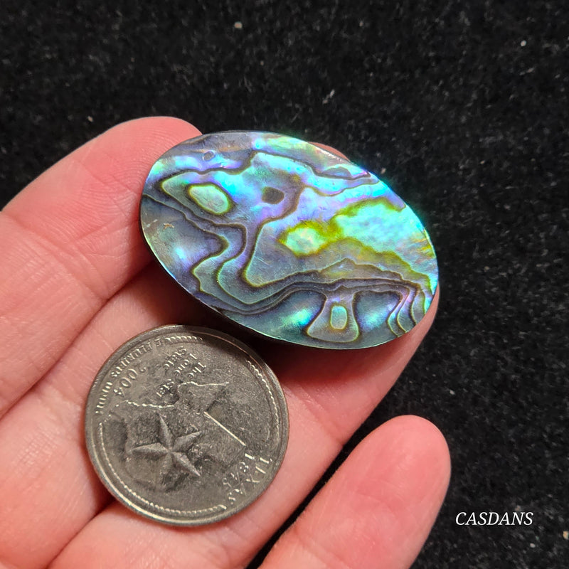 Abalone Shell Cabochon