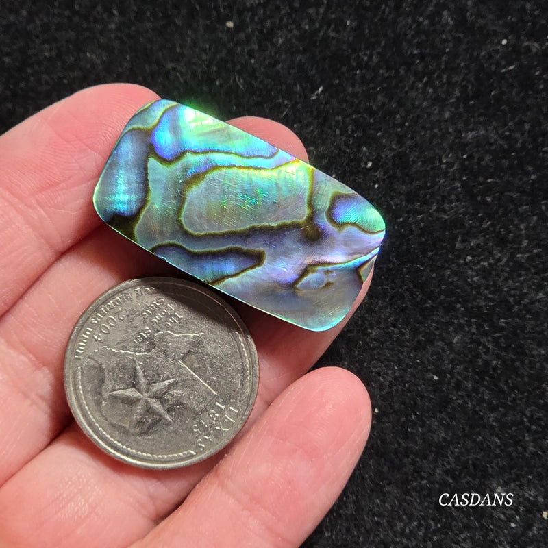 Abalone Shell Cabochon