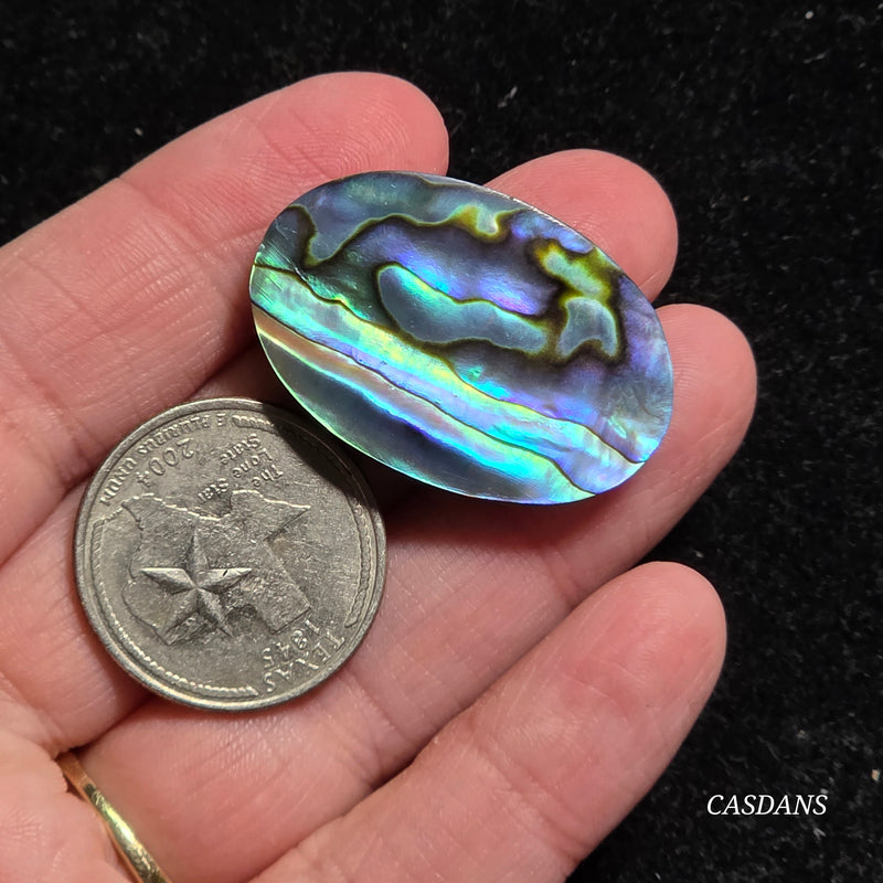 Abalone Shell Cabochon