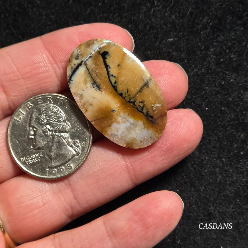 Dendritic Agate Cabochon