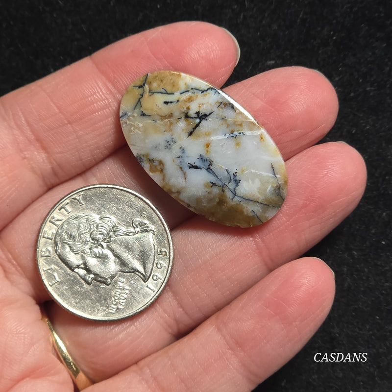 Dendritic Agate Cabochon