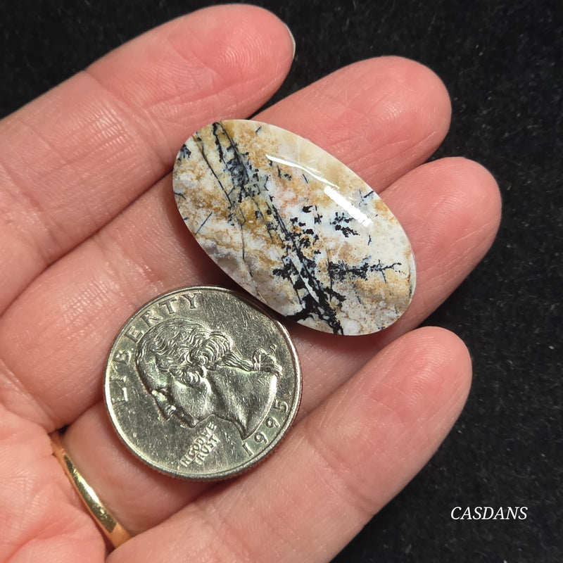 Dendritic Agate Cabochon