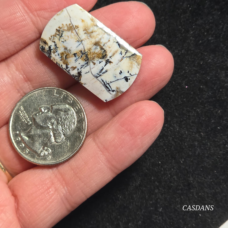 Dendritic Agate Cabochon