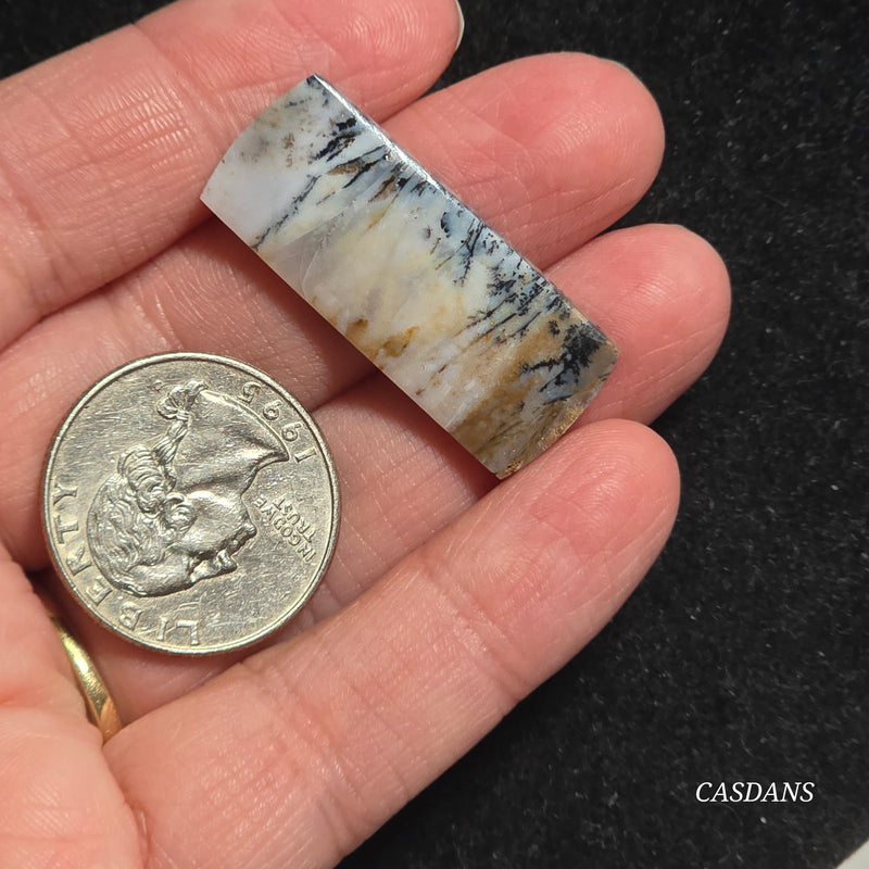 Dendritic Agate Cabochon