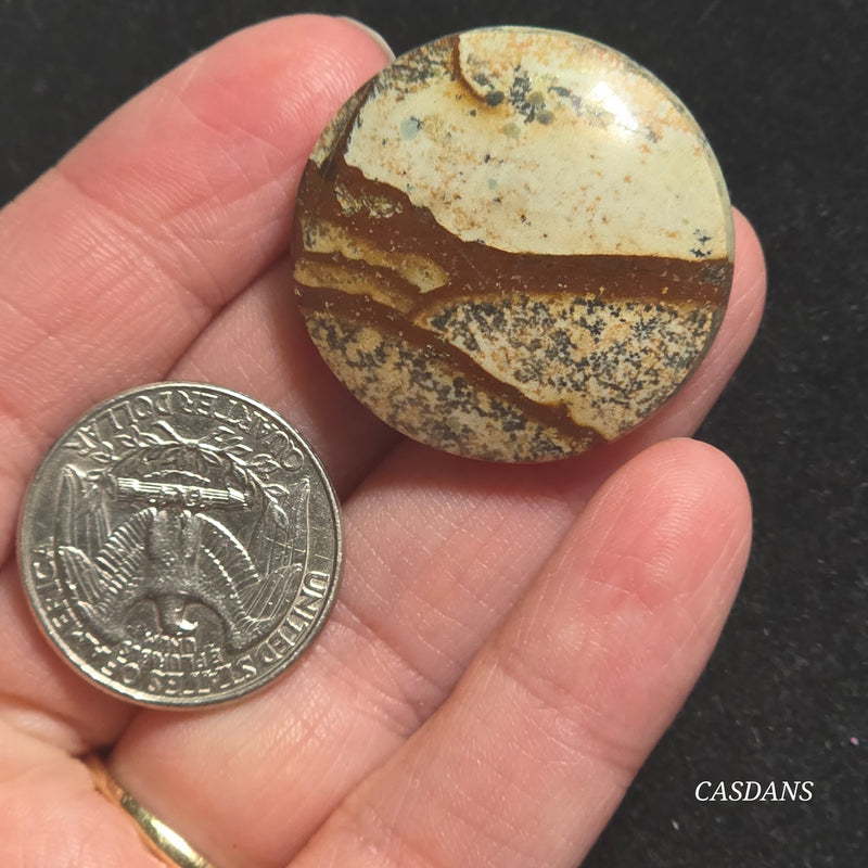 Picture Jasper Cabochon