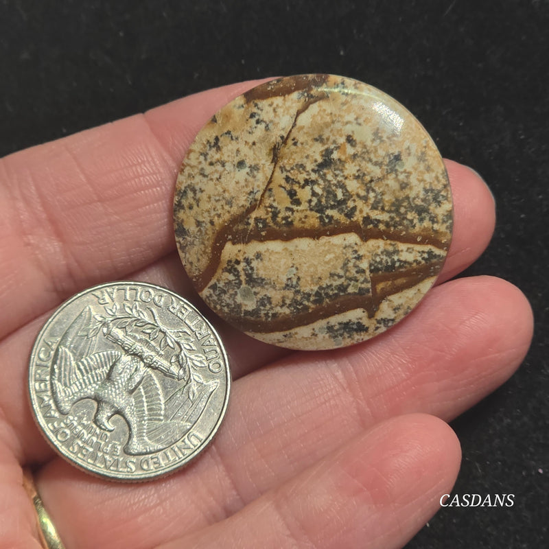 Picture Jasper Cabochon