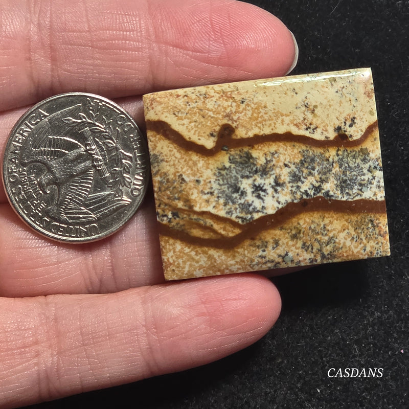Picture Jasper Cabochon