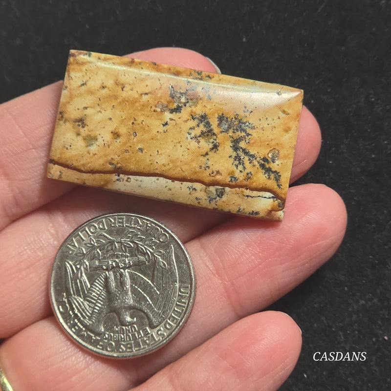 Picture Jasper Cabochon