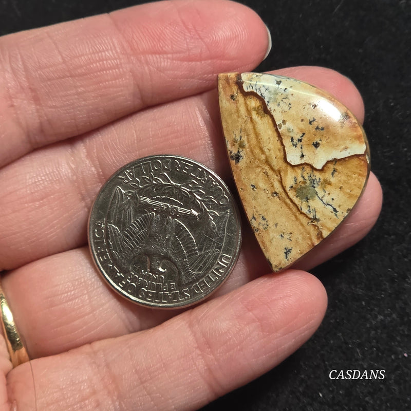 Picture Jasper Cabochon