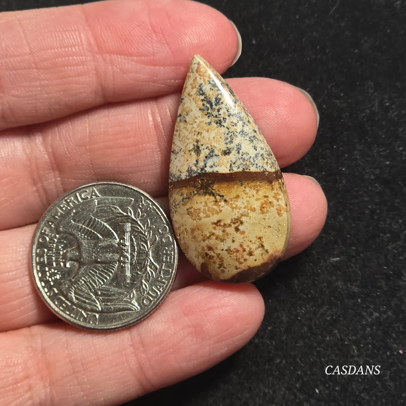 Picture Jasper Cabochon