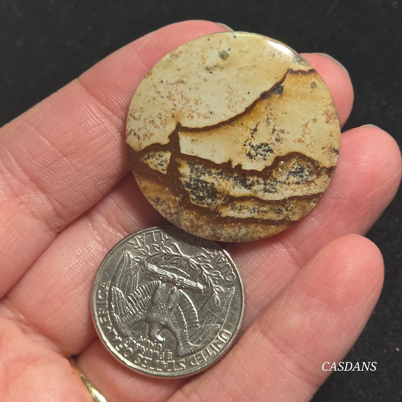 Picture Jasper Cabochon