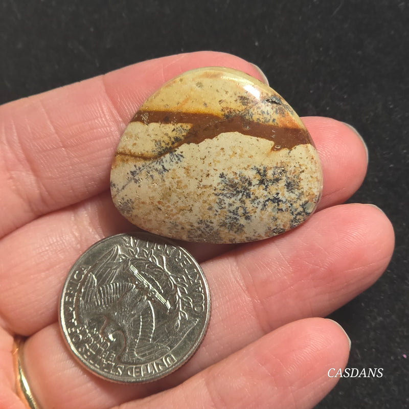 Picture Jasper Cabochon