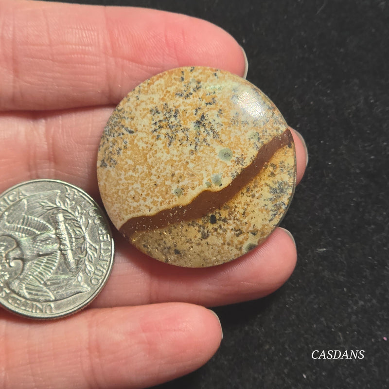 Picture Jasper Cabochon