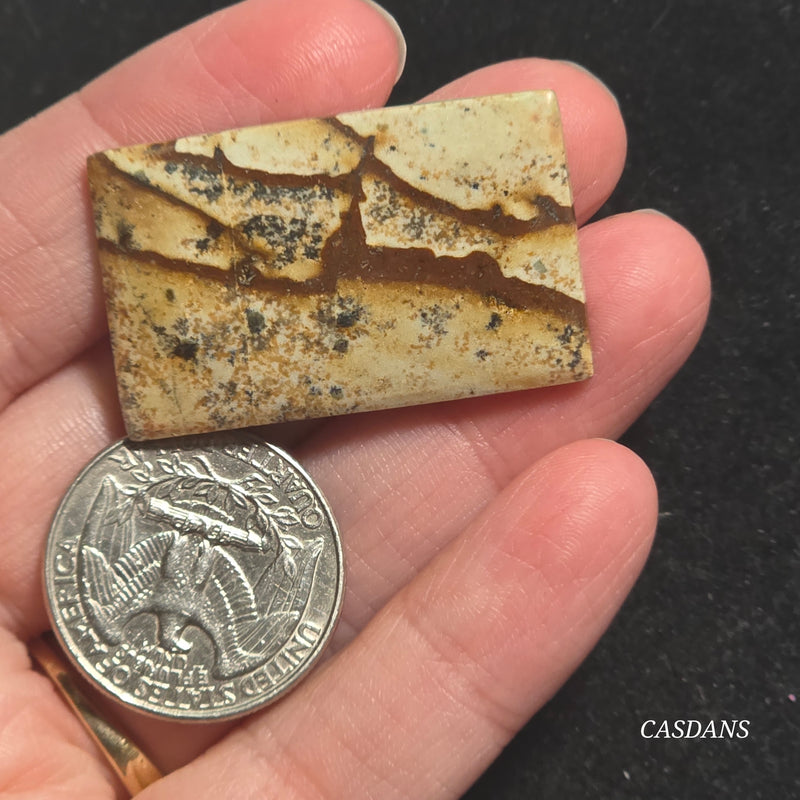 Picture Jasper Cabochon