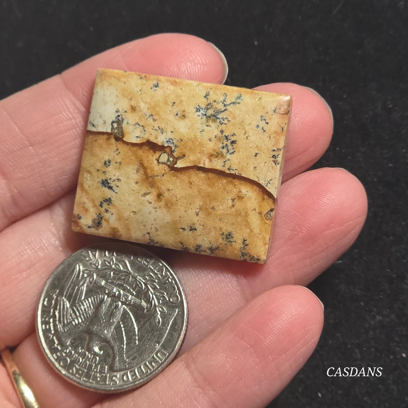 Picture Jasper Cabochon