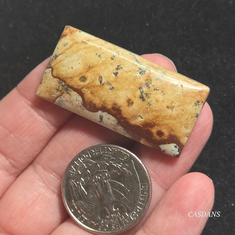 Picture Jasper Cabochon