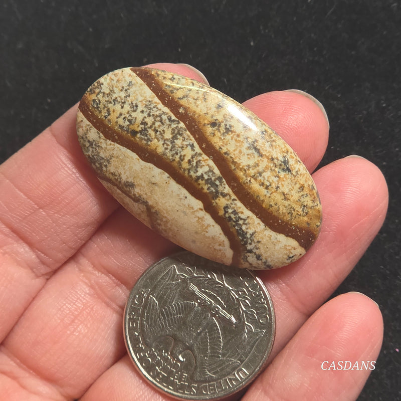 Picture Jasper Cabochon