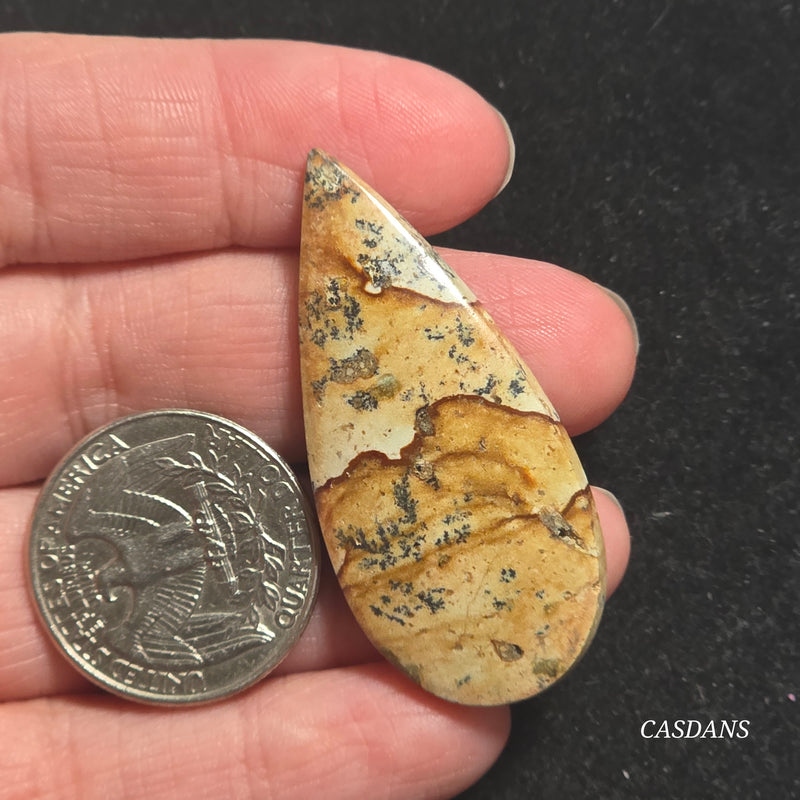 Picture Jasper Cabochon