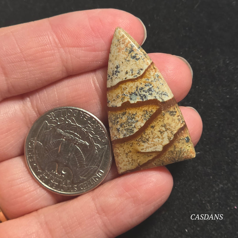 Picture Jasper Cabochon