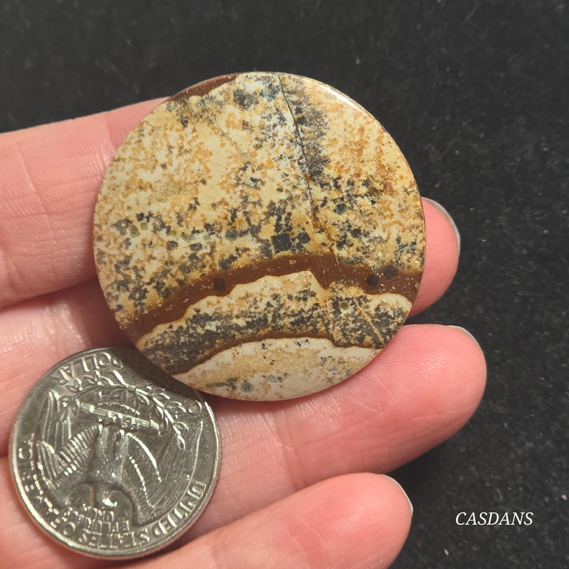 Picture Jasper Cabochon