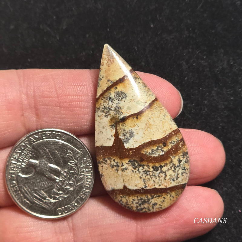Picture Jasper Cabochon