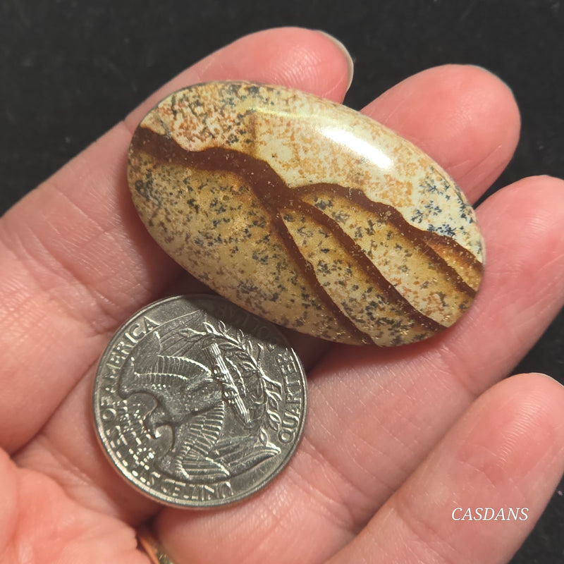 Picture Jasper Cabochon