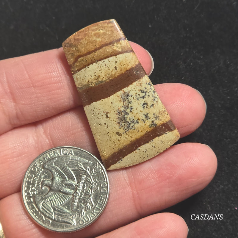 Picture Jasper Cabochon