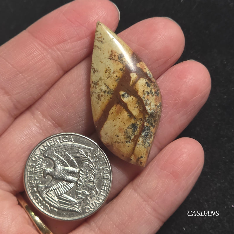 Picture Jasper Cabochon