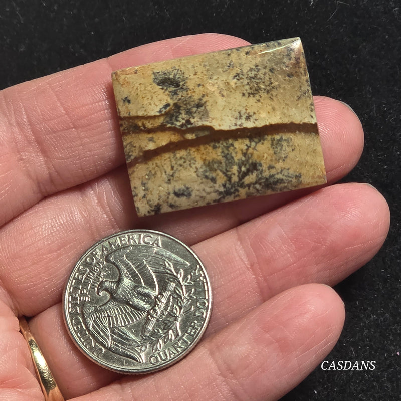 Picture Jasper Cabochon