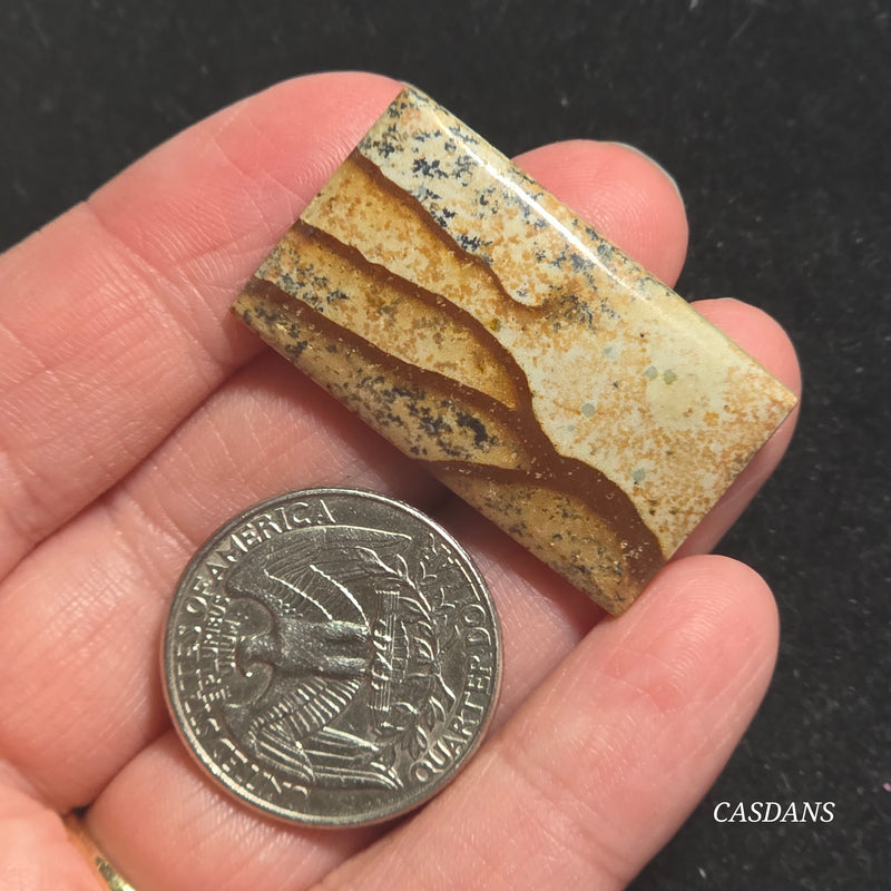 Picture Jasper Cabochon