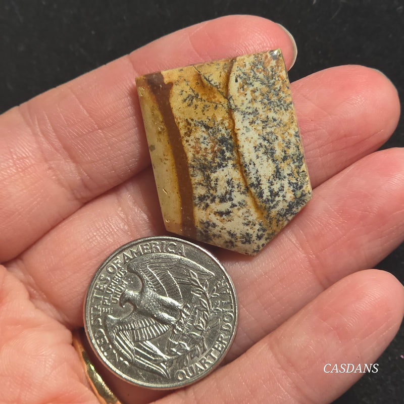 Picture Jasper Cabochon